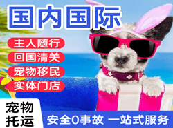 西双版纳航空托运国际宠物托运 【国